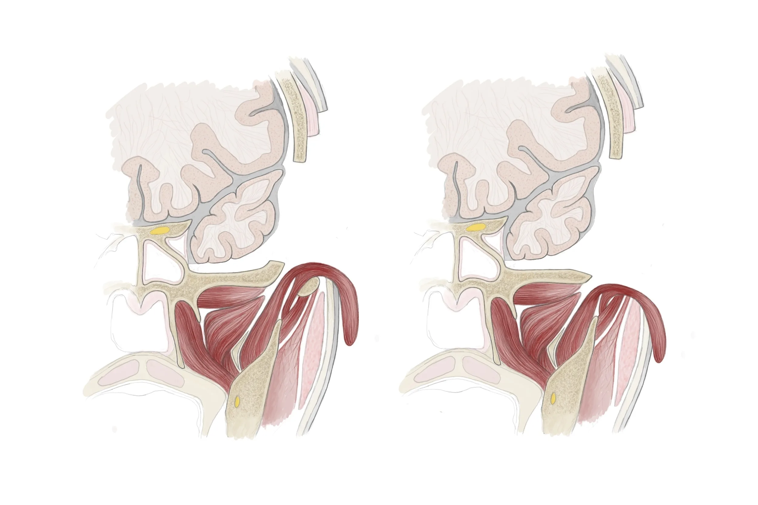 grafikundso.at - Illustration
